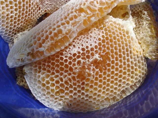 木子花蜜  五倍子花蜜。云南大山。野花花蜜。支持无条件退款