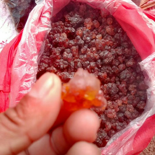 澜沧县 桃胶。云南货。品质相当不错的。