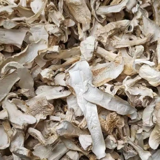 大球盖菇  球盖菇干片，无硫、无砂各种等级