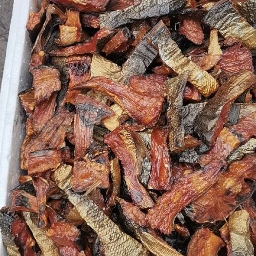 剑河县鲢鱼干  烟熏火烤，盐℃适中，⑨成干