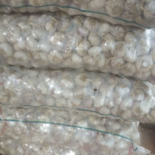 贵港大蒜  红衣山东蒜，手选大通，6.0以上精选。