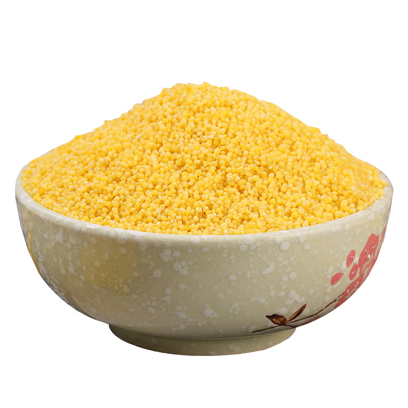小米，黄小米，黄金苗，山地小米，小米，酿酒小米，品种齐全