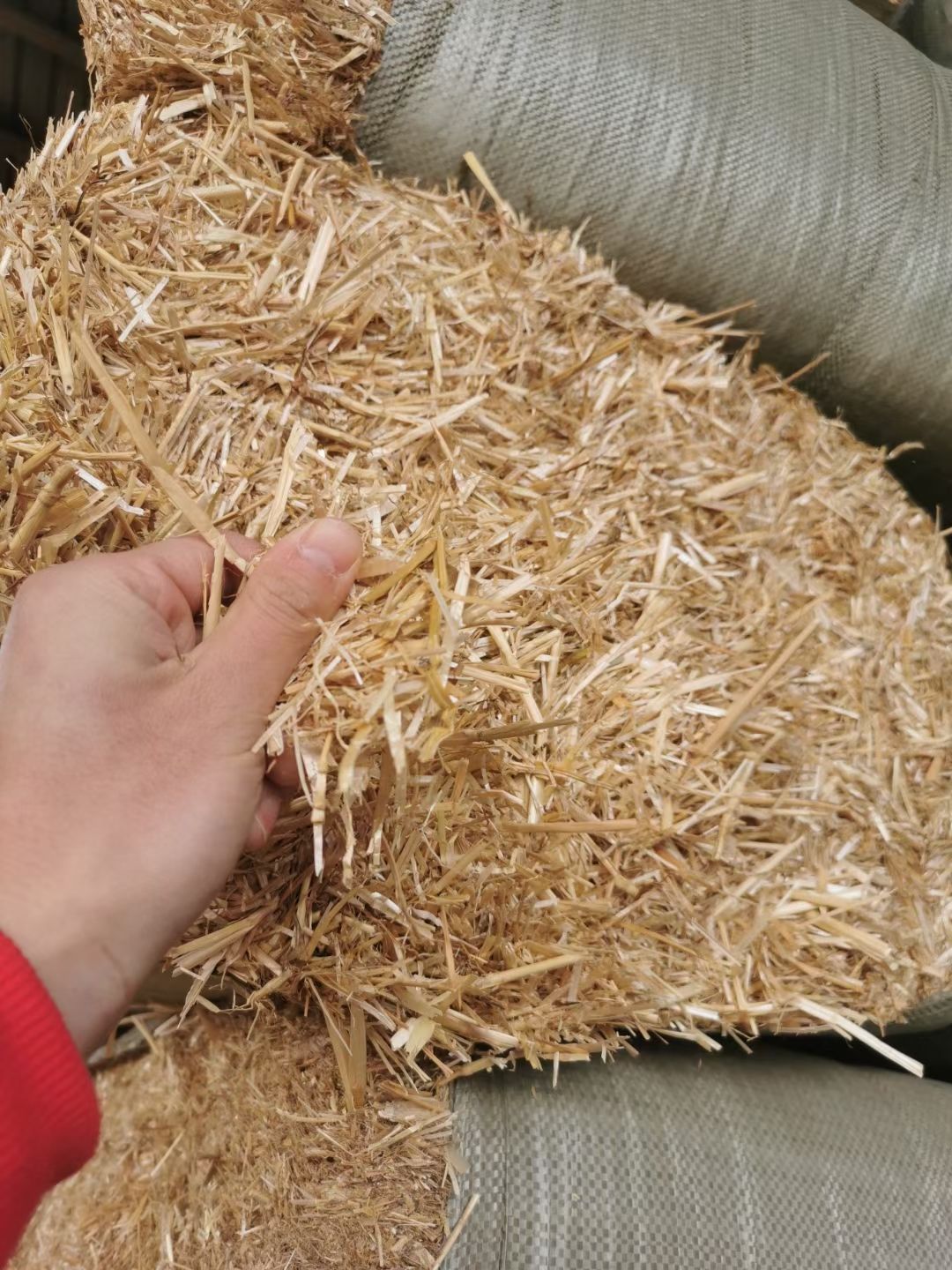 小麦秸秆  优质玉米秸秆麦秸秆出售  现货支持预订