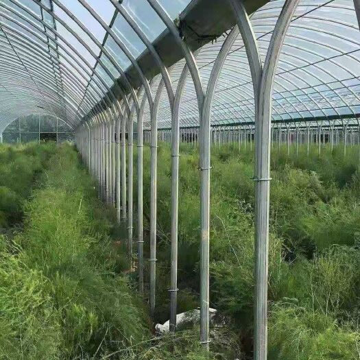 青县棚管 大棚钢管 大棚骨架 蔬菜大棚 养殖大棚 种植大棚 方管