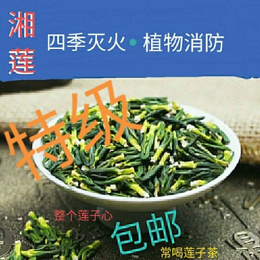 湘乡市湘莲  整颗莲子芯清茶，降热去火茶250-500g装