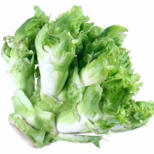 西充县 儿菜