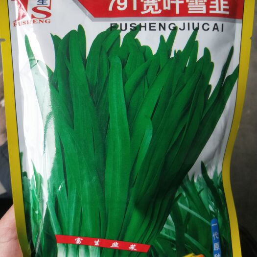 夏邑县韭菜种子  一代原种，生长速度快，产量高，露地保护地栽培的理想换代品种