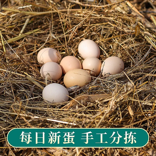 台州纯散养贵州土鸡蛋