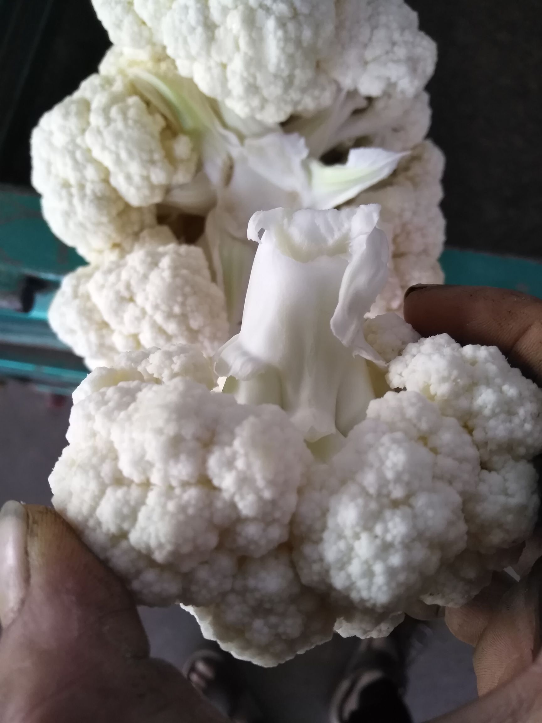 白菜花大量供应各大市场，超市，电商