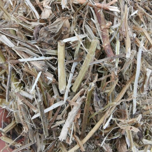 社旗县花生秧无土无膜除杂干花生秸秆羊牛驴马草料