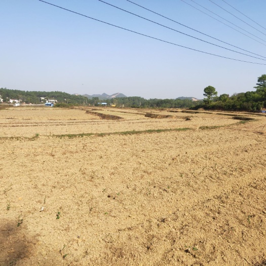 宁乡市水田 土地出租，