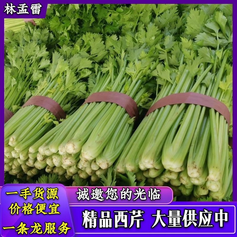 西芹  大棚 芹菜產(chǎn)地直發(fā)一手貨源，各種包裝，協(xié)助找車一條龍