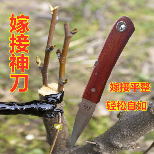 龙口市嫁接剪刀  果木嫁接刀园林日本嫁接刀刻芽刀水果削皮刀农用果树粗树嫁接