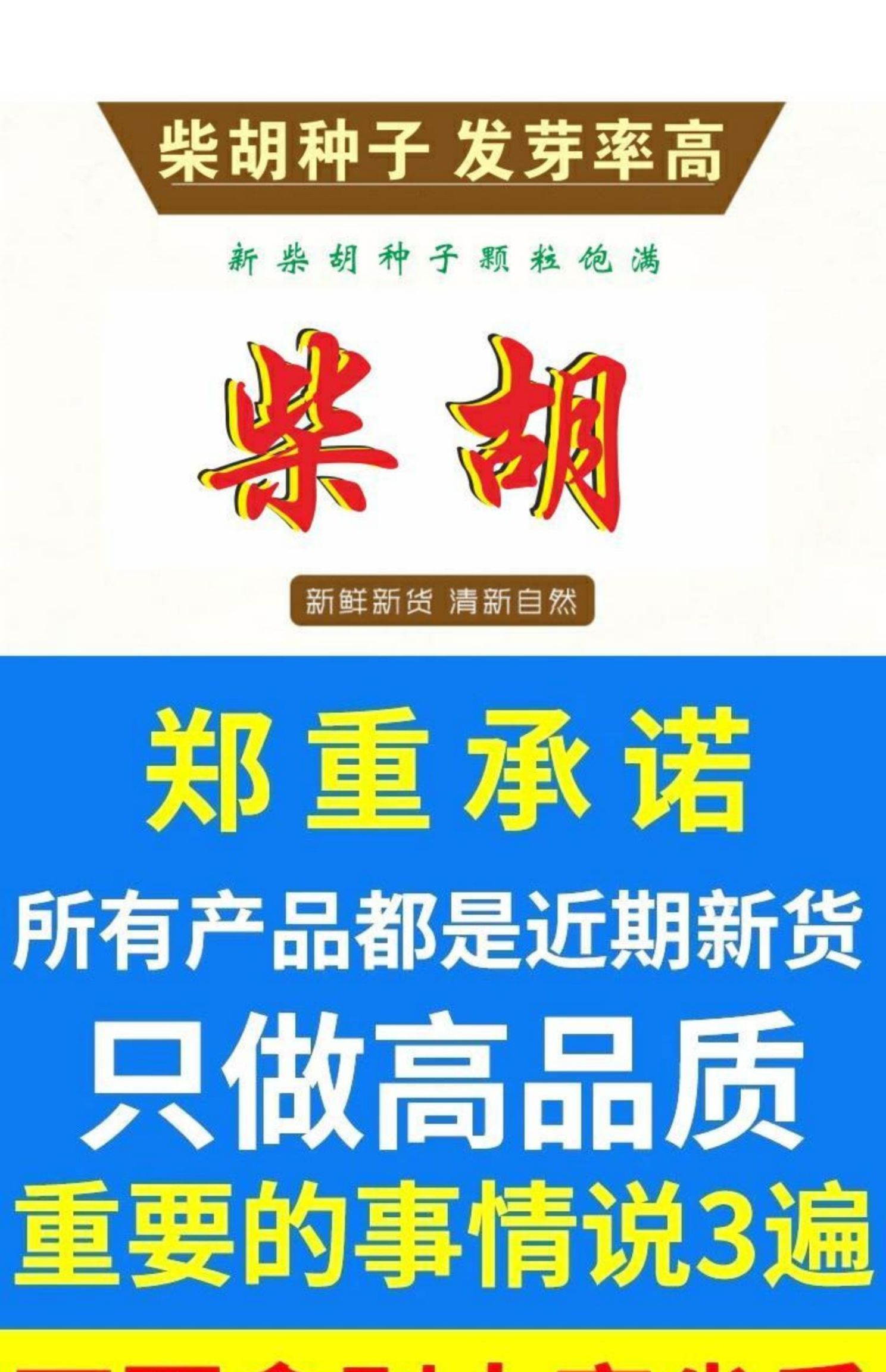 柴胡种子包邮中药材2024年新北柴胡种籽发芽率高