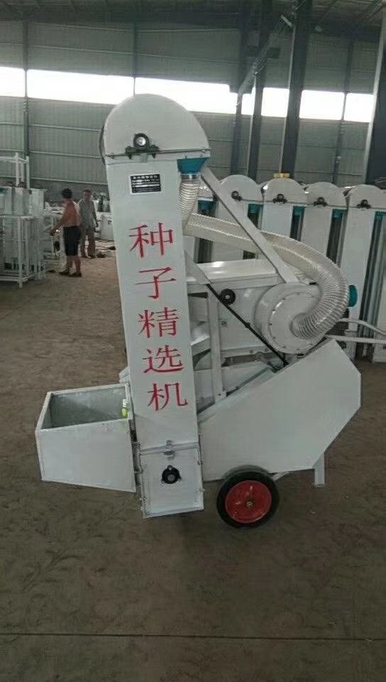 玉米小麦筛选机种子精选机小麦精选机