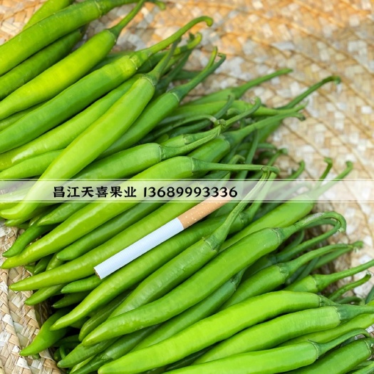 昌江县精品杭椒 新上市，真的漂亮我说的不算，老板说的才算欢迎订购。