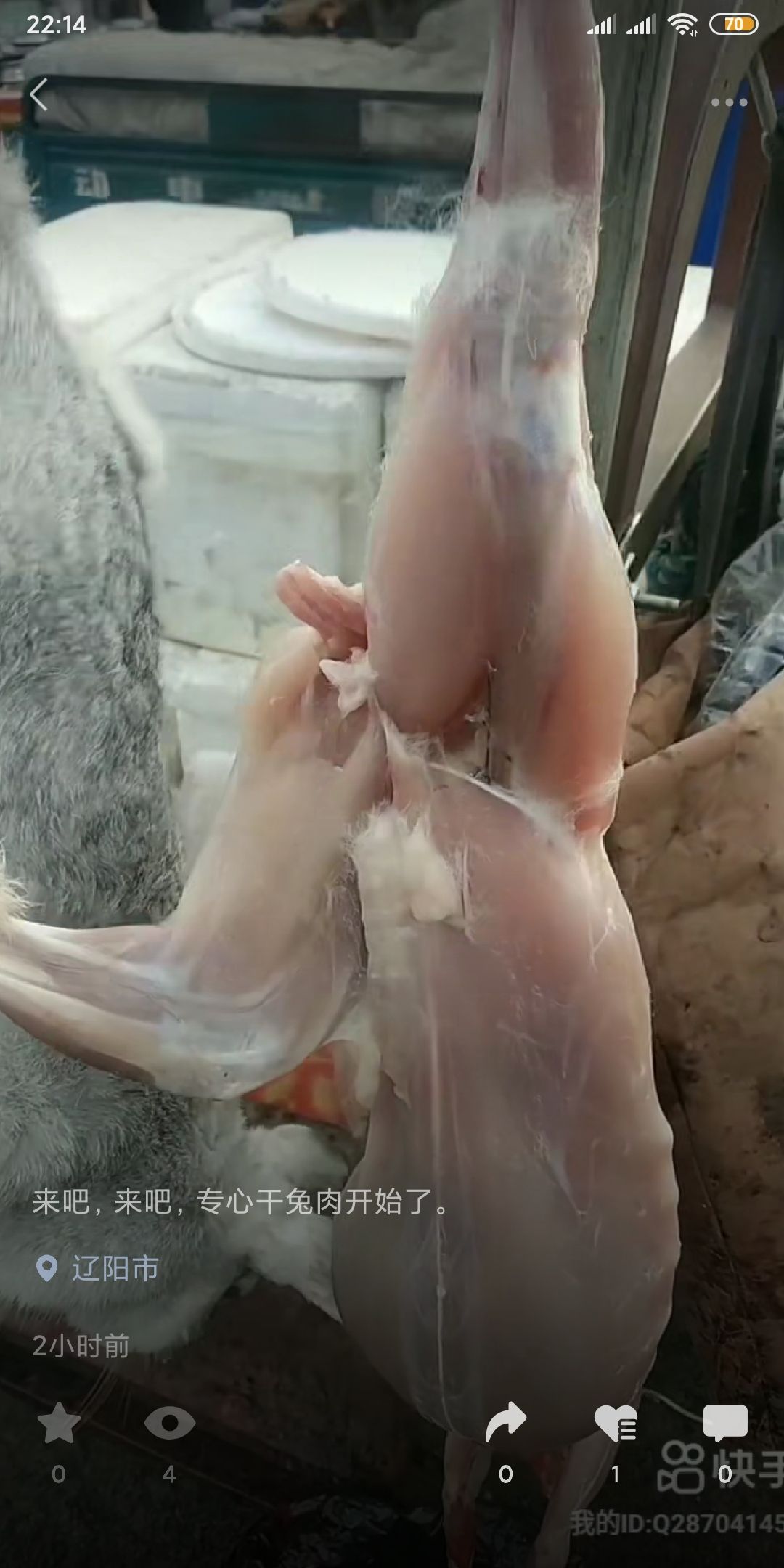 兔肉类  辽阳热销兔肉熟食店烧烤店