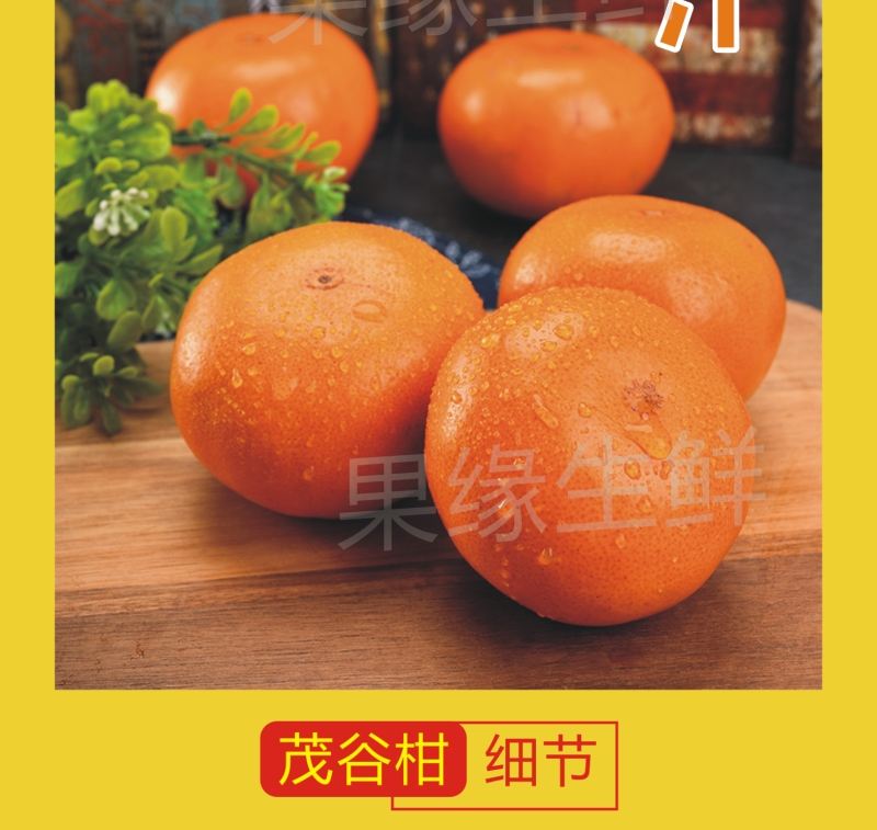 茂谷柑新鲜水果汁多味甜现摘现发批发代发