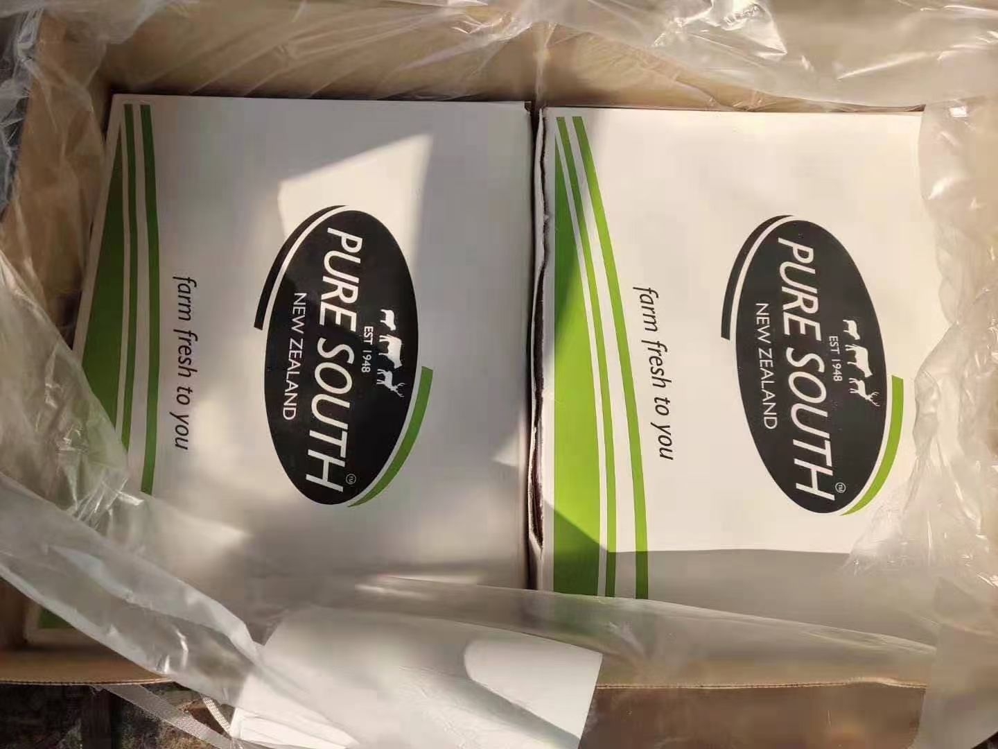 羊宝 羔羊宝羊外腰羊肾