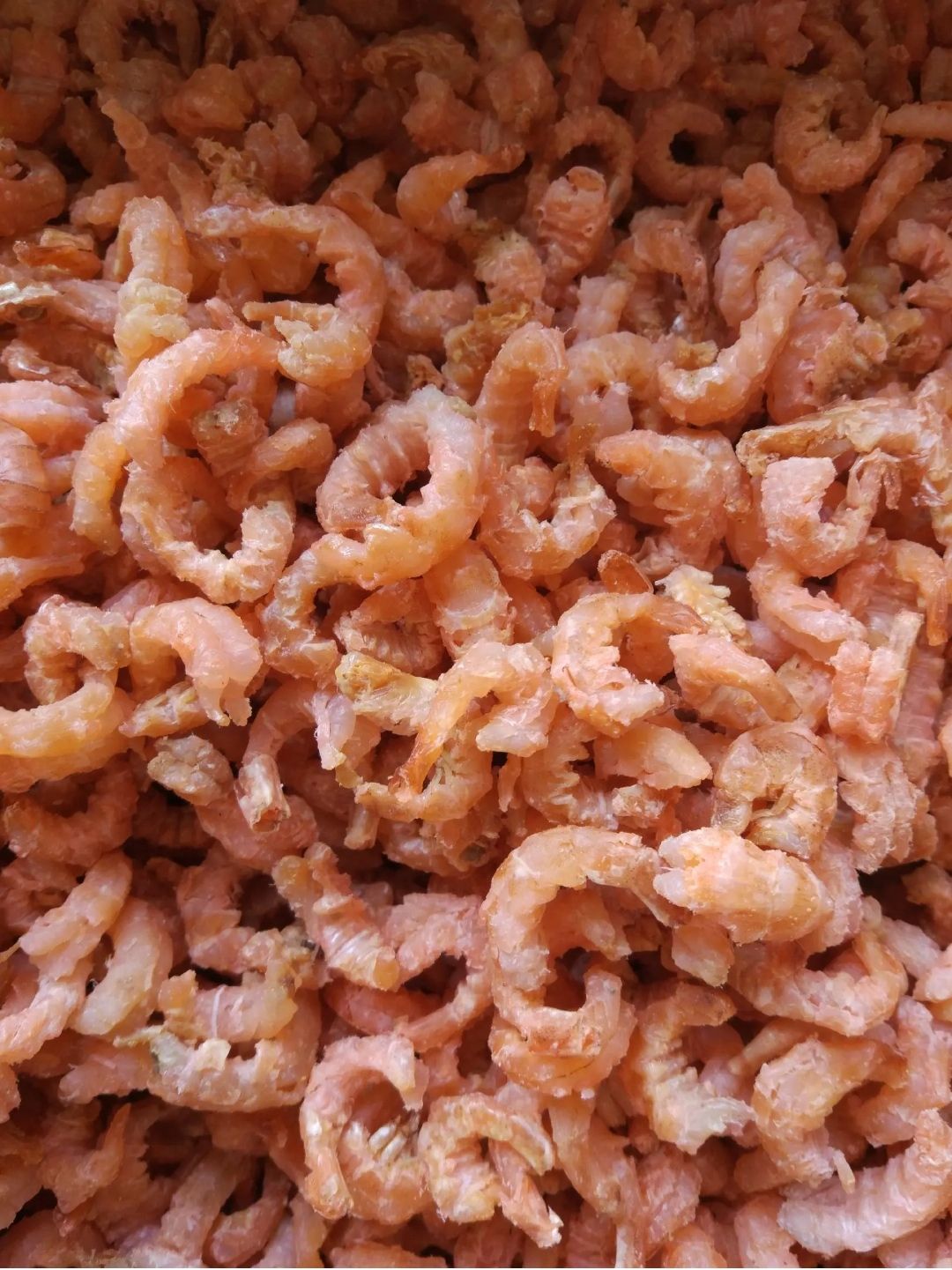 虾仁，虾米，虾干，海米，量大优惠一箱17斤不包邮