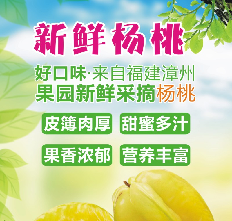 杨桃应季水果多汁香甜一件代发