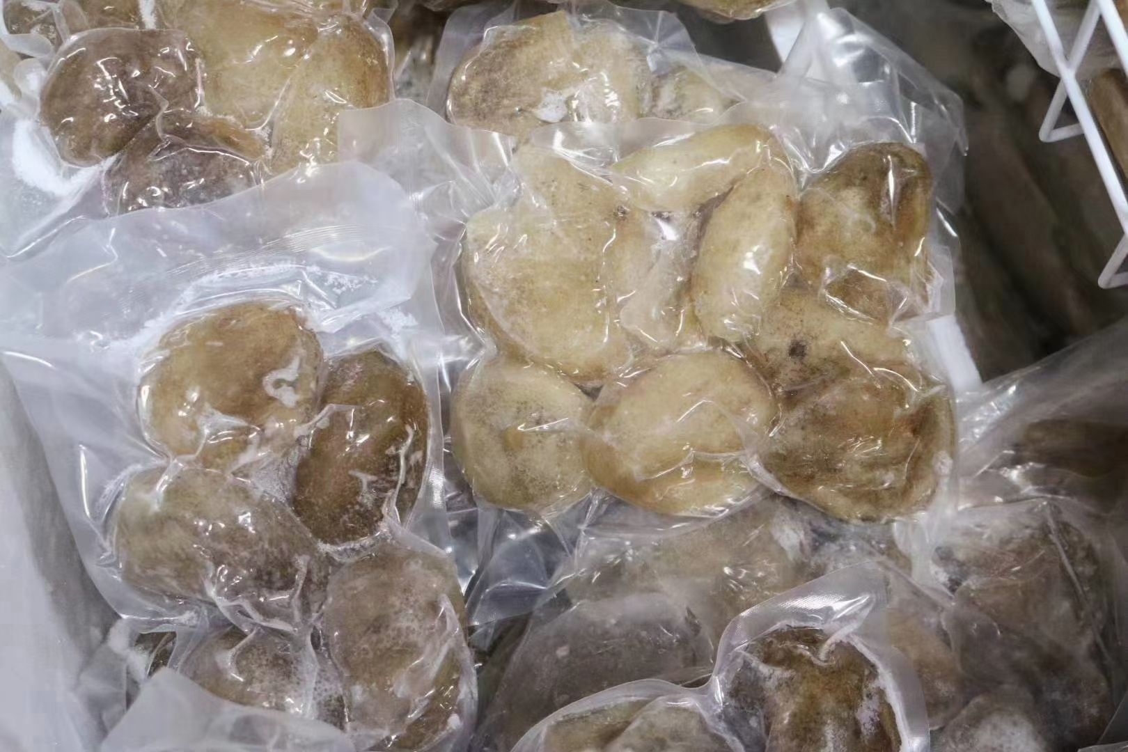 批发即食海参水发球参免泡发解冻即煮炒焖简单方便性价比很高