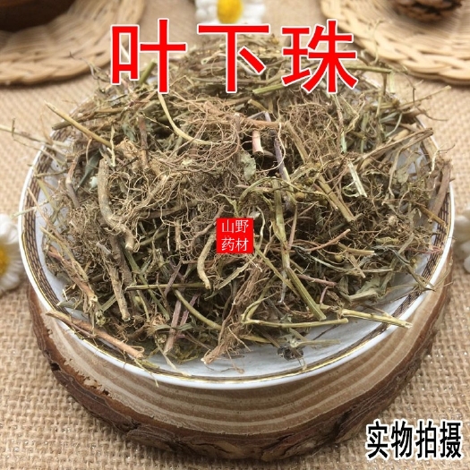 昆明云南中药材叶下珠 珍珠草 叶下珍珠 叶后珠  500g包邮