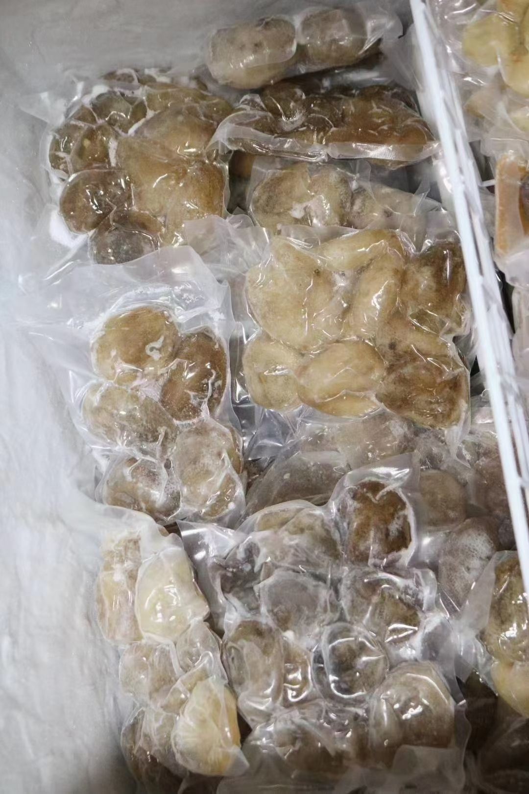 批发即食海参水发球参免泡发解冻即煮炒焖简单方便性价比很高