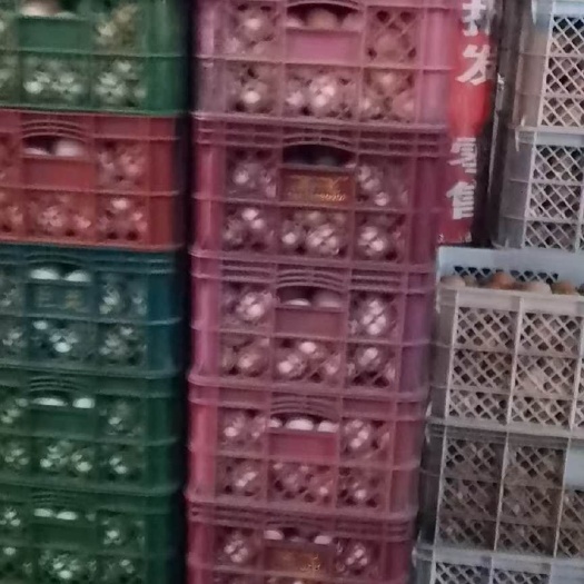 石家庄普通鸡蛋 食用 散装