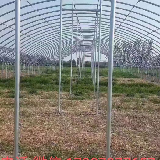 沭阳县大棚管 蔬菜大棚 钢管拱架 单体 连栋 简易连体棚