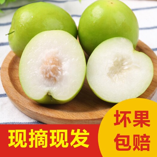贵妃枣牛奶枣蜜枣冬枣大青枣应季孕妇水果一件代发
