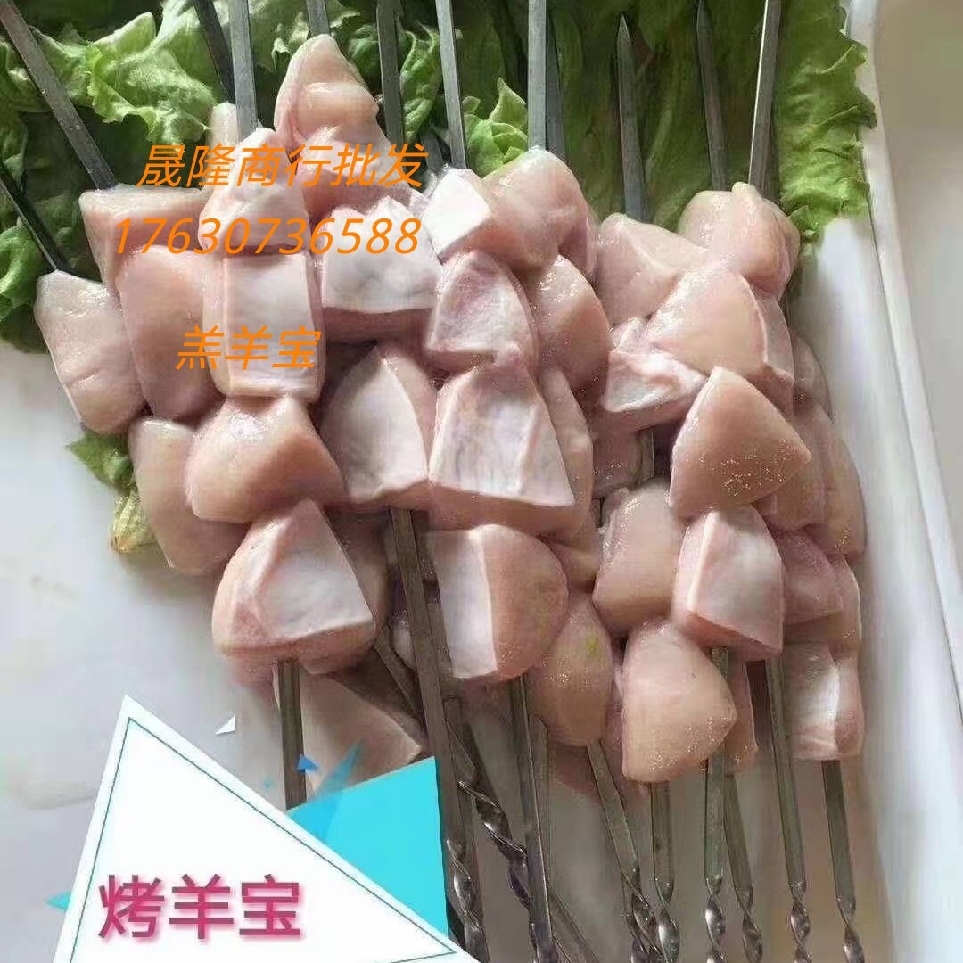 羊宝 羔羊宝羊外腰羊肾