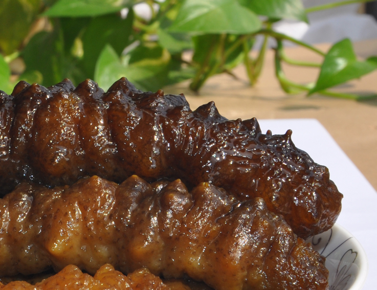 即食海参 工厂直供大连参即食螺纹海参500g起批口感有嚼劲