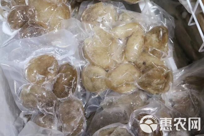 批发即食海参水发球参免泡发解冻即煮炒焖简单方便性价比很高