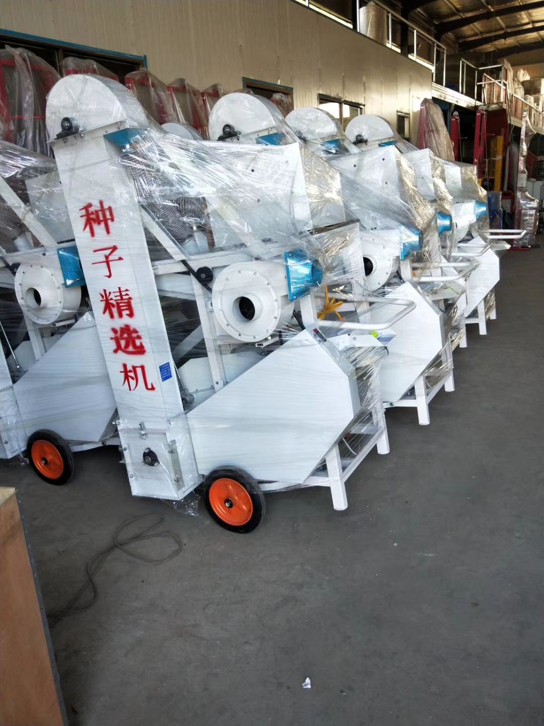 玉米小麦筛选机种子精选机小麦精选机