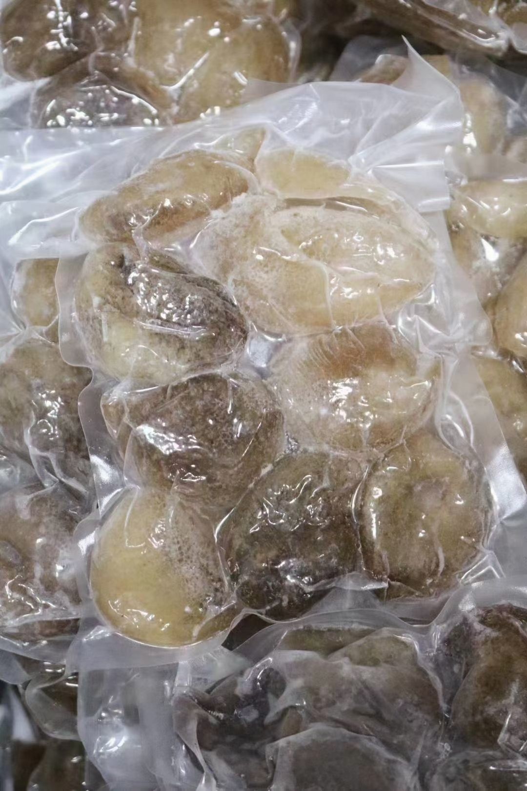 批发即食海参水发球参免泡发解冻即煮炒焖简单方便性价比很高