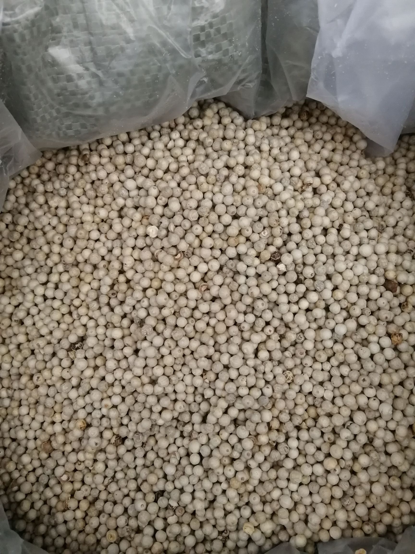 白胡椒，海南白胡椒，干净无杂质，口感好，价格实惠，量大从优
