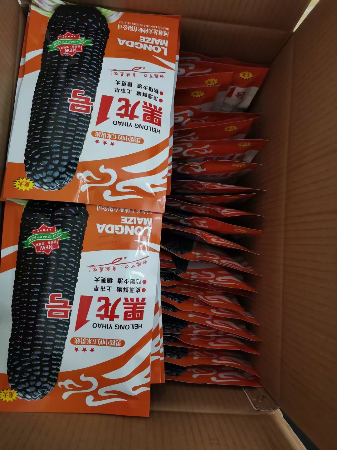 杂交黑龙1号甜糯可口穗大行多全国种植易管理