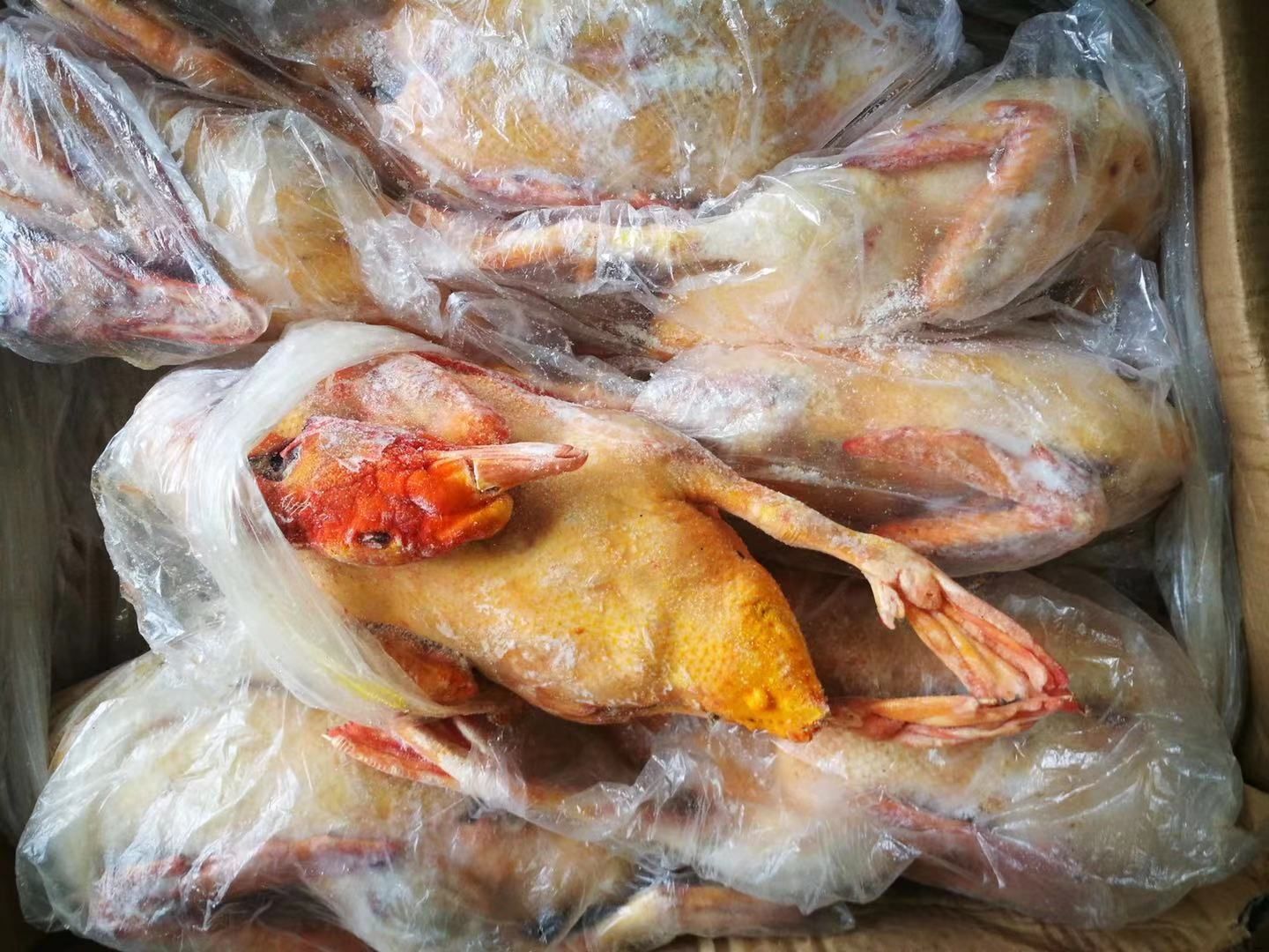 鸭肉  常年供应鸭鹅白条