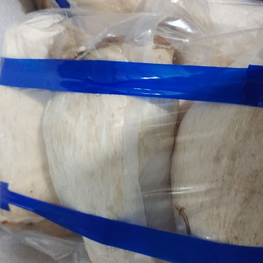 修文县鲜杏鲍菇 有好的，这个便宜的，暂时没有照片