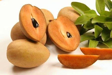 人心果种子，大量供应新鲜种子
