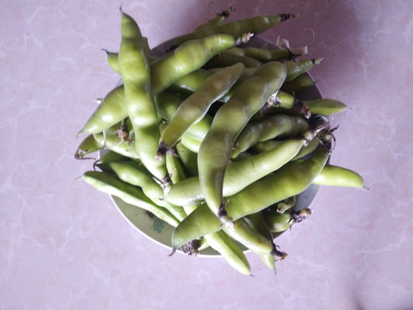 云南大理新鲜蚕豆产地直供随时有货