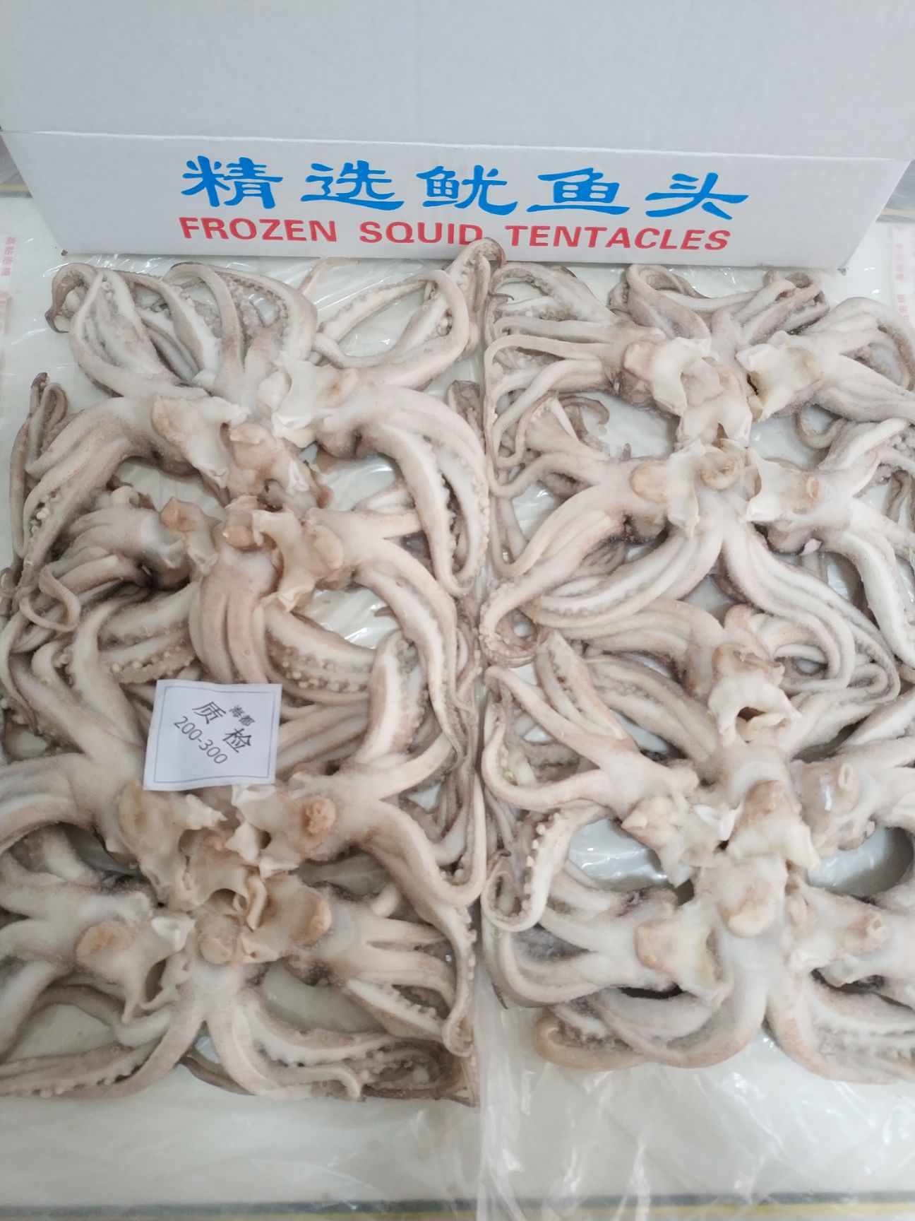 日本枪乌贼  纯干冰机洗鱿鱼头200/300