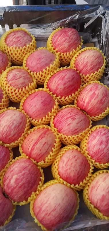 蒙阴县冷库纸袋红富士苹果常年供应