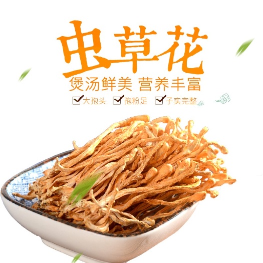 新鲜虫草花干货北虫草食用菌农产品煲汤食材无硫新鲜干货代发