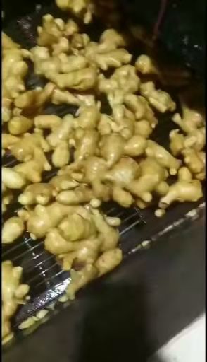 二黄姜  常年供应优质精品生姜、品种齐全、货源充足