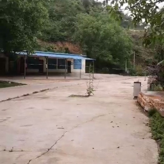 山地  散养土鸡，鸭子，鹅，猪，牛羊场地出租，