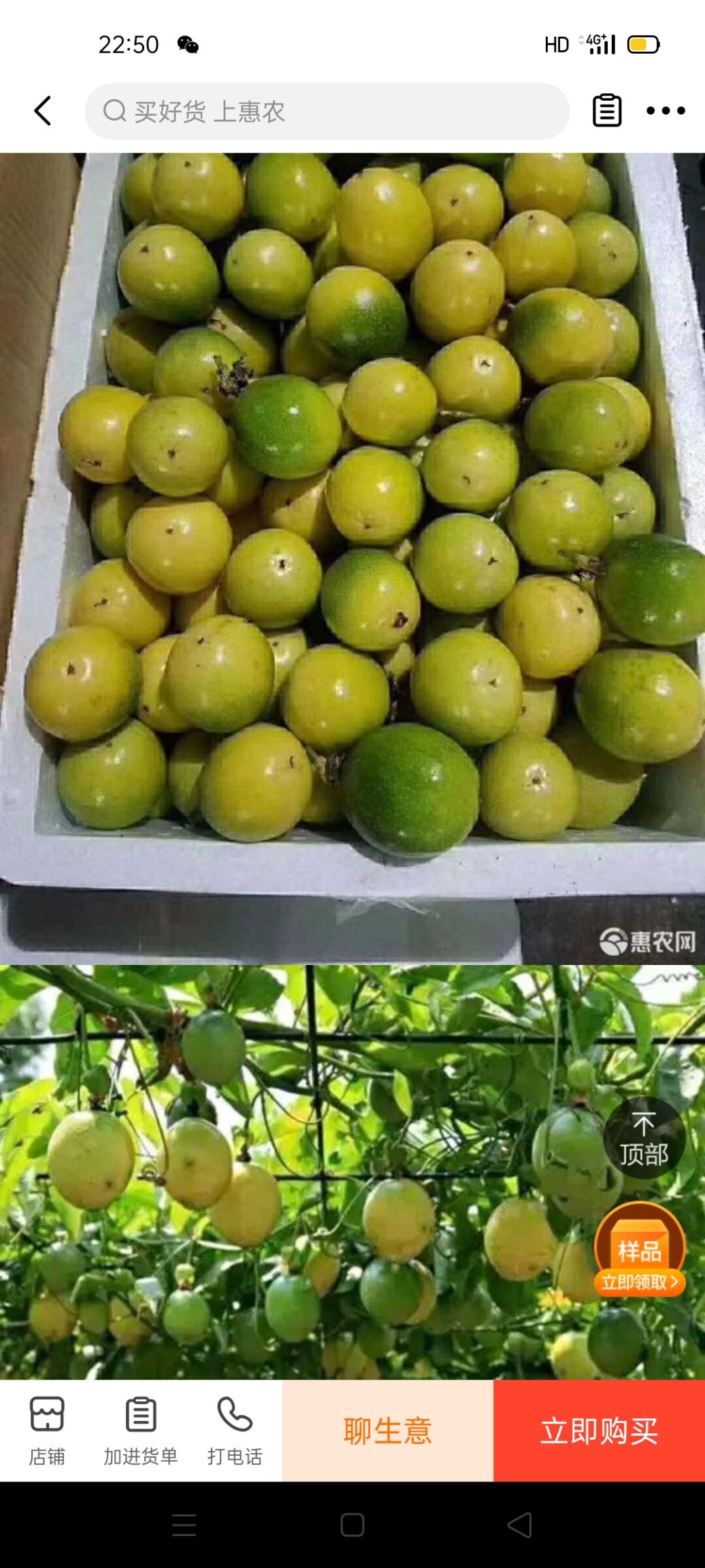 巴乐味百香果苗