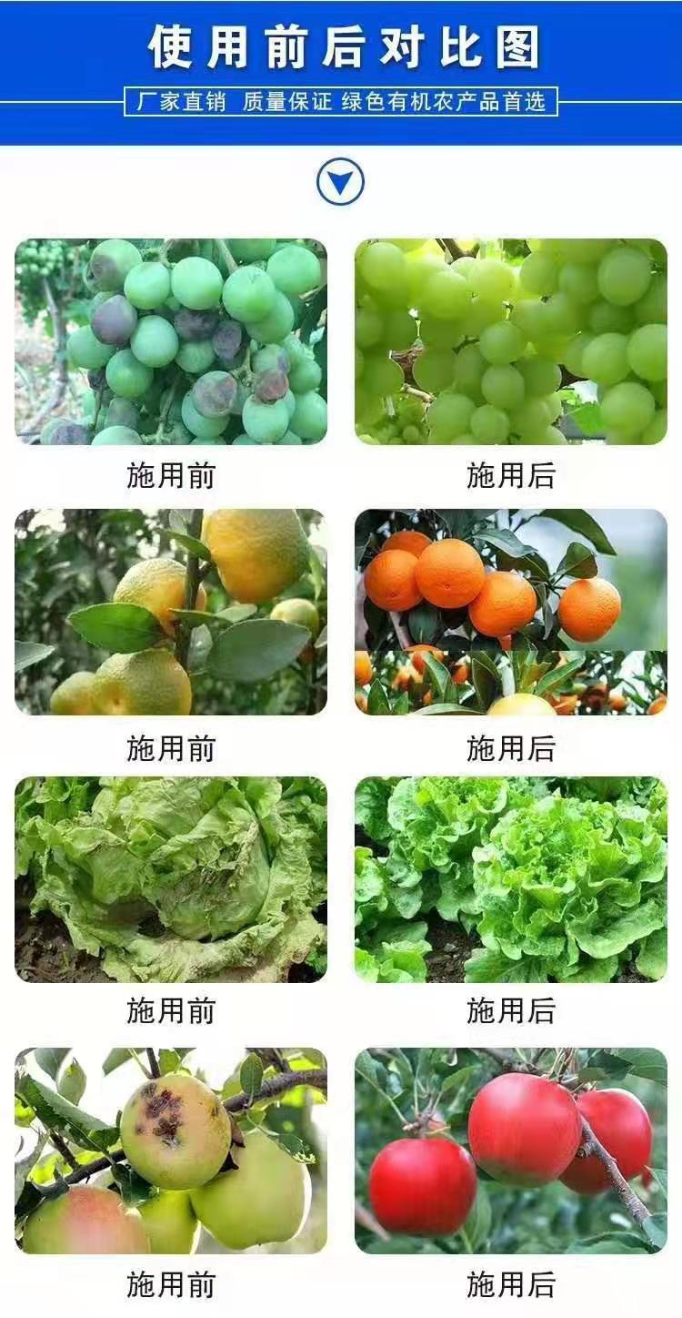 微量元素肥料  黄腐酸钾鱼蛋白