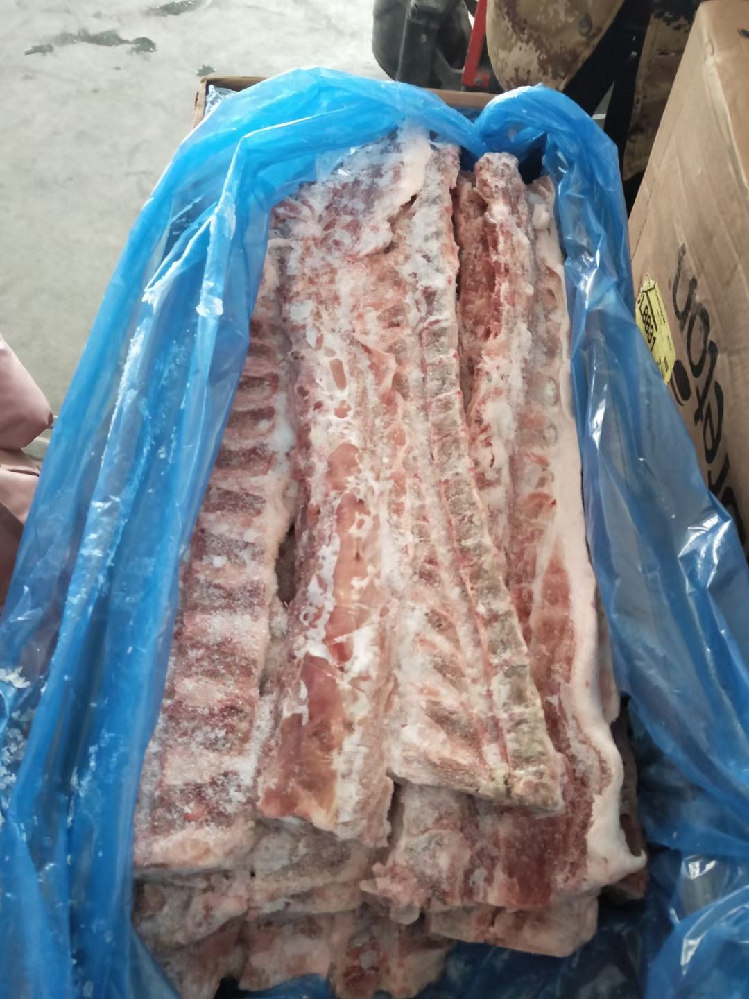 猪骨头  所有类型猪背骨都有